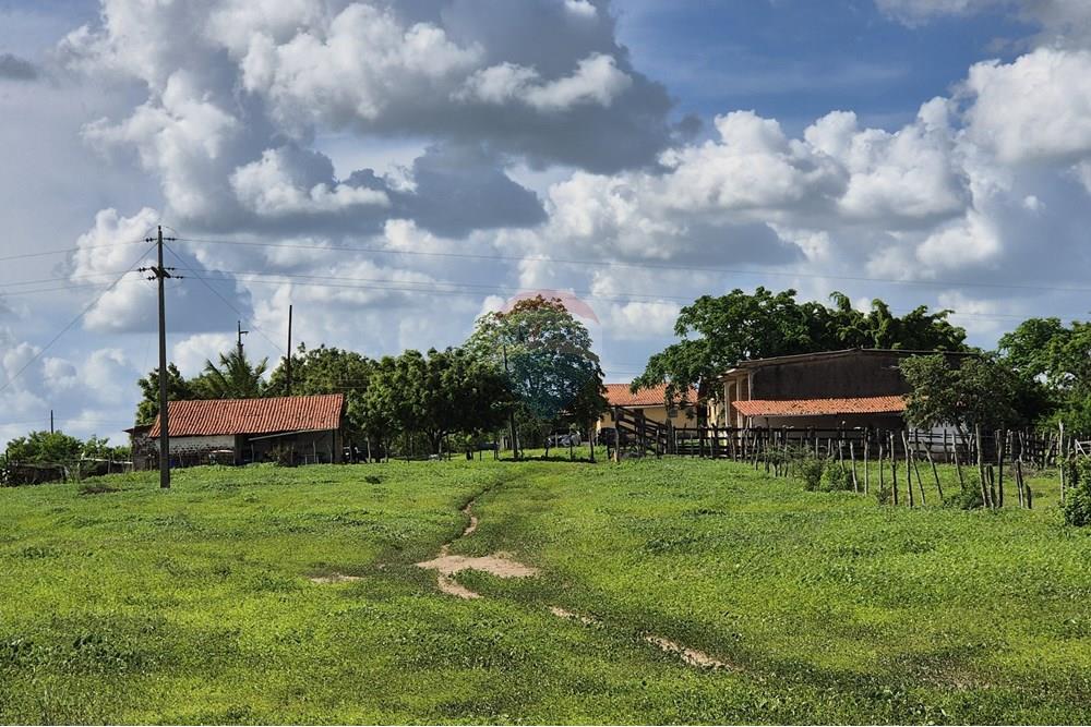 Chácara / Sítio / Fazenda - Venda - Riachão do Bacamarte , Paraíba - 20250215_143608.jpg - 722011055-39