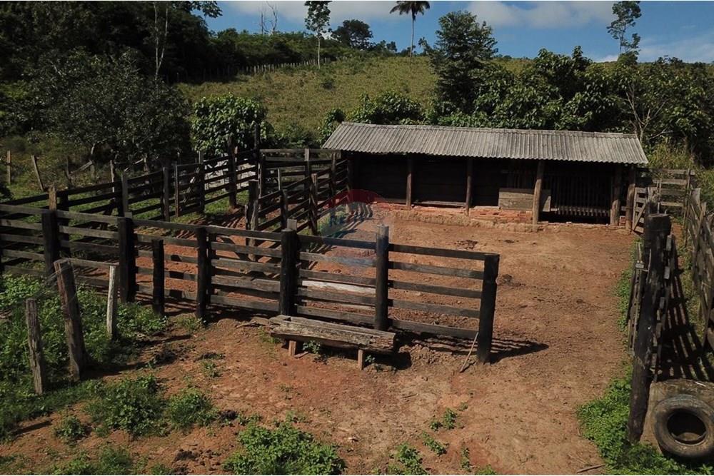 Chácara / Sítio / Fazenda - Venda - Parauapebas , Pará - IMG-20250204-WA0041.jpg - 722021020-6