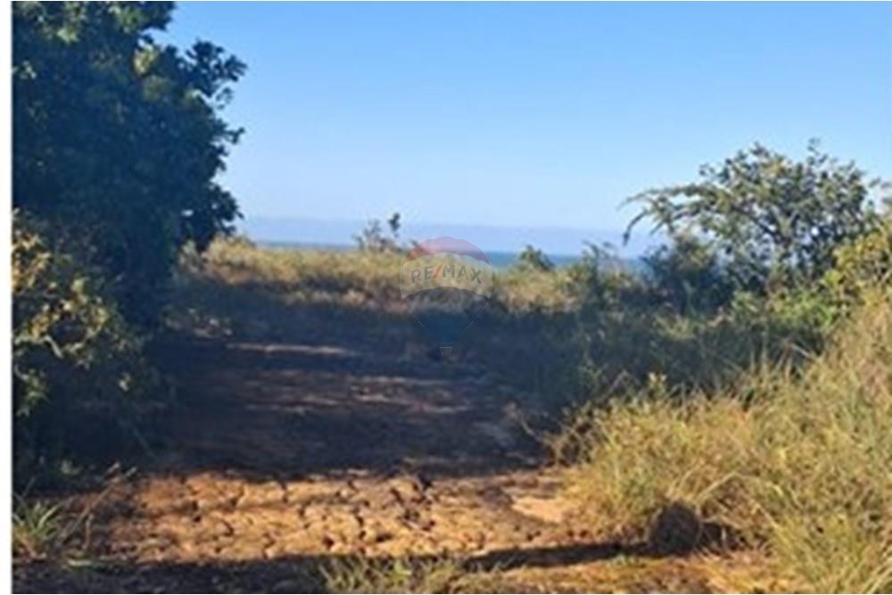 Terreno - Venda - Pitimbu , Paraíba - 77840172-2c7c-40ef-be50-2d4bfea31219.jpeg - 720871044-83