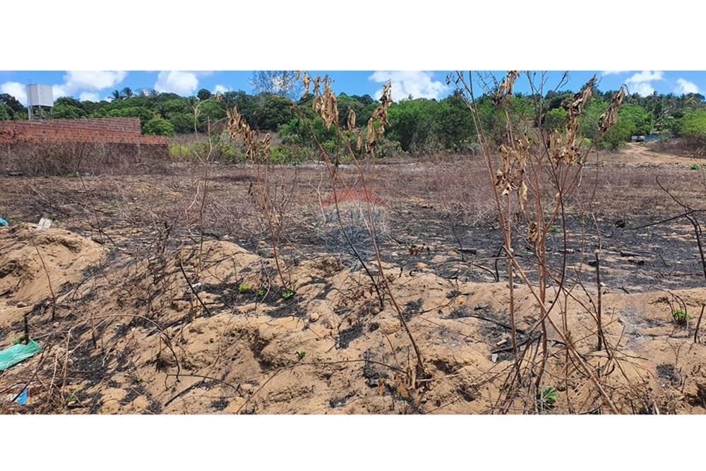 Terreno - Venda - Conde , Paraíba - WhatsApp Image 2024-12-17 at 15.12.59 (2).jpeg - 720871031-68