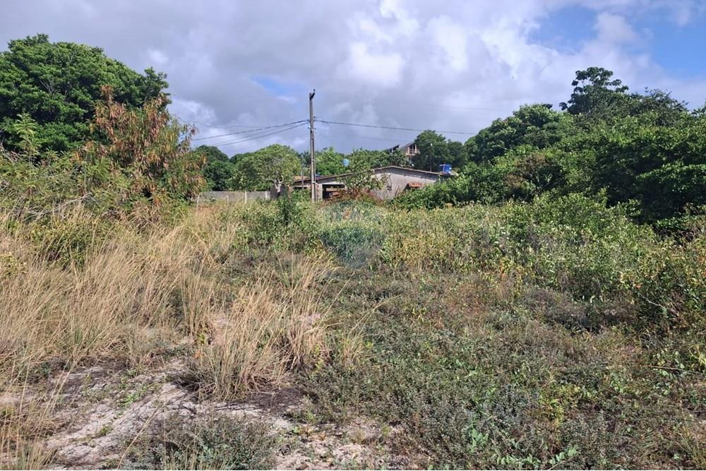 Terreno - Venda - Conde , Paraíba - 8c2d3816-f5b5-4877-9791-7ef2c6ff276a.jpeg - 720871044-69