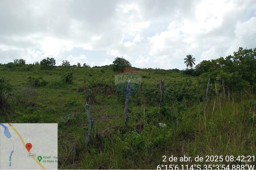 Terreno - Venda - Tibau do Sul , Rio Grande do Norte - LuizArea2.jpeg - 720891150-73