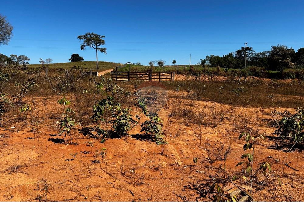 Chácara / Sítio / Fazenda - Venda - Cacoal , Rondônia - IMG_9212.jpg - 721971007-120