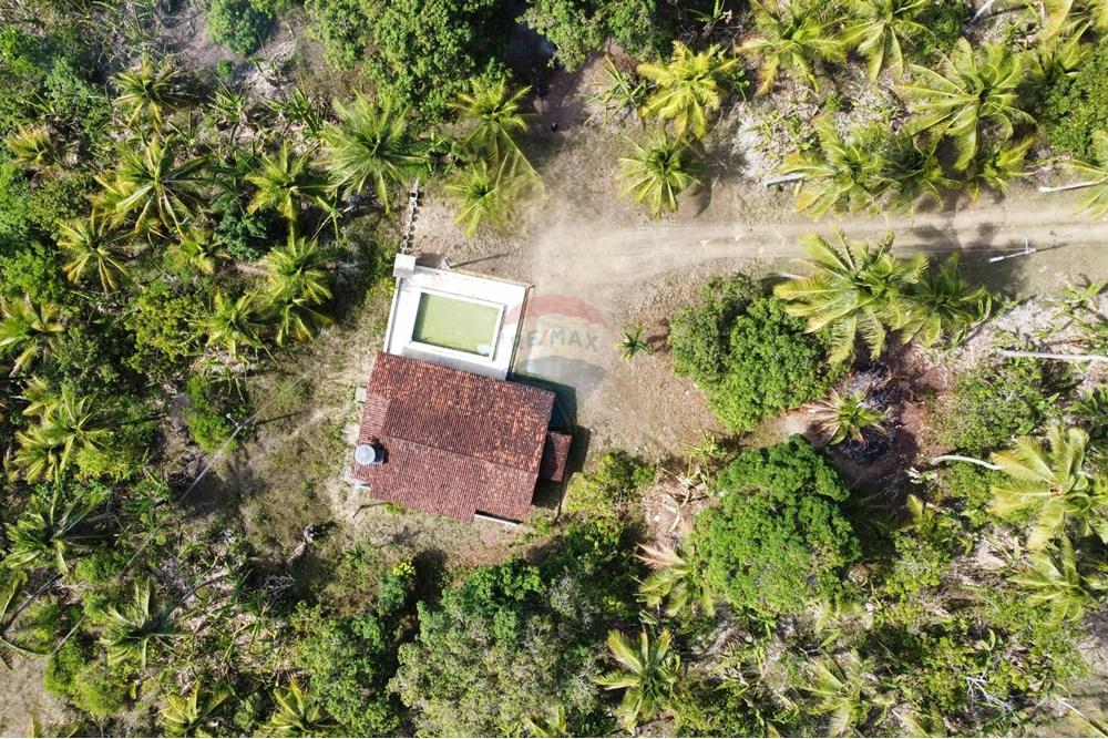 Chácara / Sítio / Fazenda - Venda - Conde , Paraíba - dji_fly_20250123_141932_381_1737653113234_photo_optimized1.jpg - 722011055-36