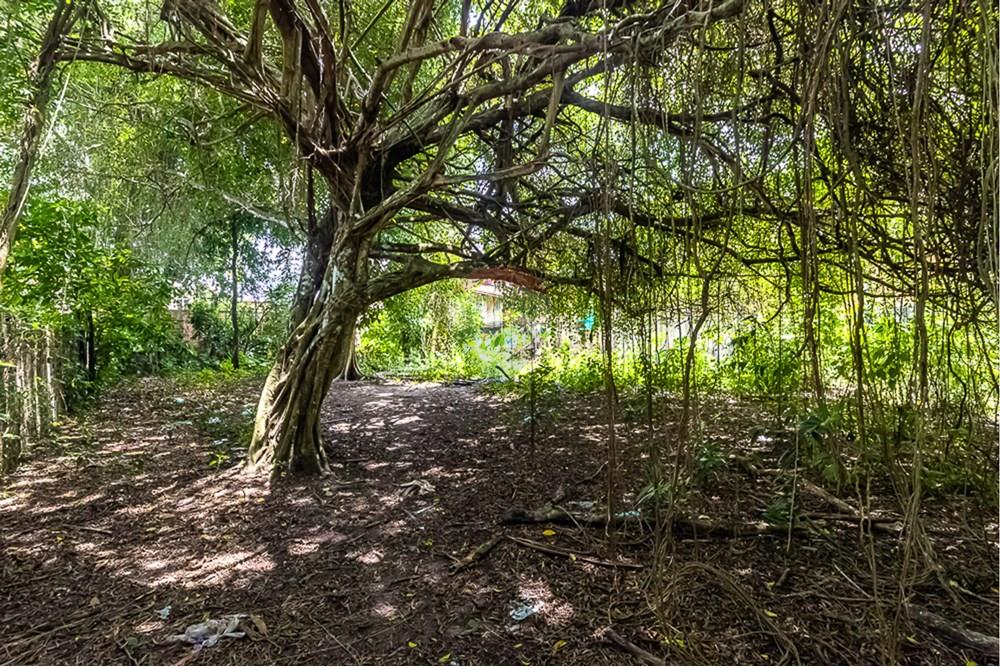 Terreno - Venda - Ananindeua , Pará - 20.jpg - 720921053-12