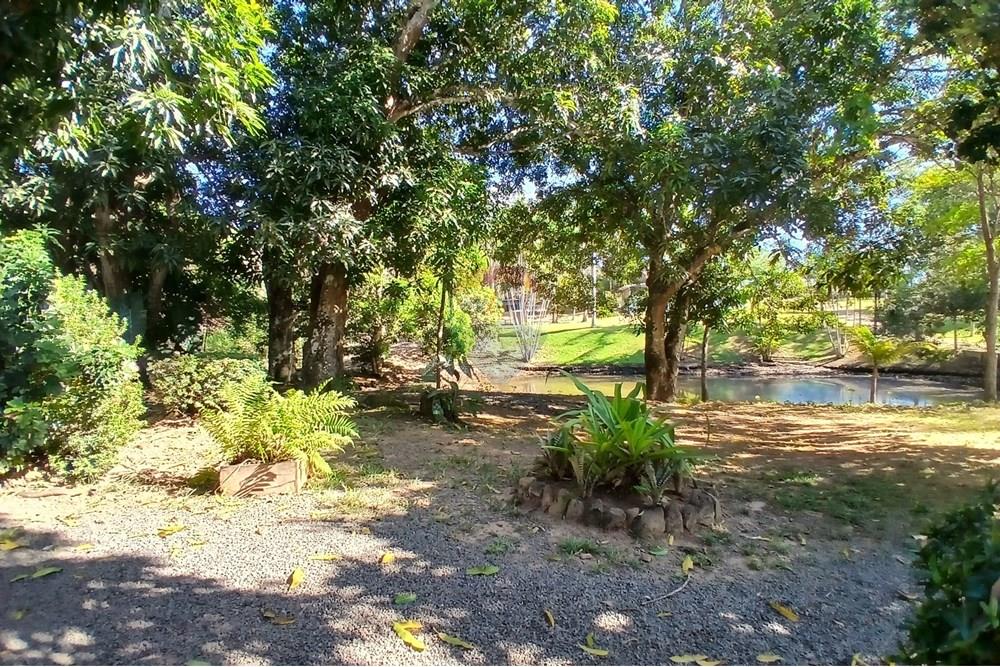 Chácara / Sítio / Fazenda - Venda - Jaru , Rondônia - 20250722_091645.jpg - 721551076-205