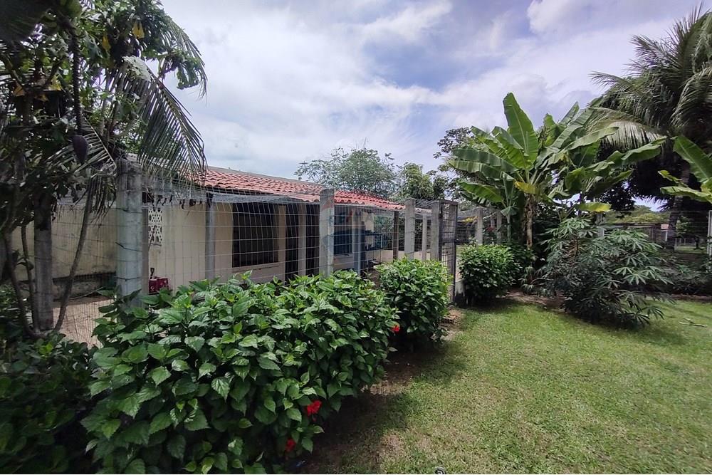 Chácara / Sítio / Fazenda - Venda - Parnamirim , Rio Grande do Norte - IMG_20250404_104656460.jpg - 720731014-48