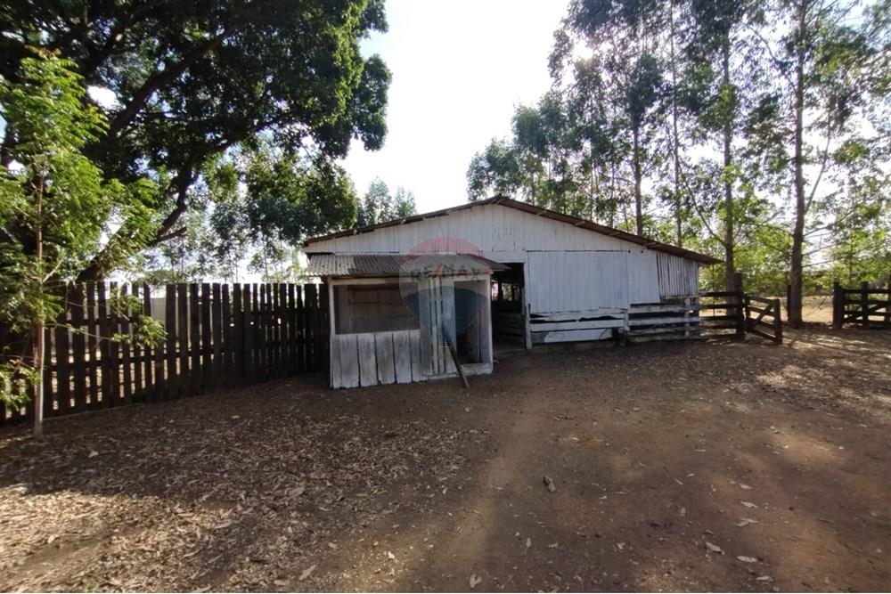 Chácara / Sítio / Fazenda - Venda - Sinop , Mato Grosso - WhatsApp Image 2025-08-07 at 14.46.30 (3).jpeg - 721561039-35