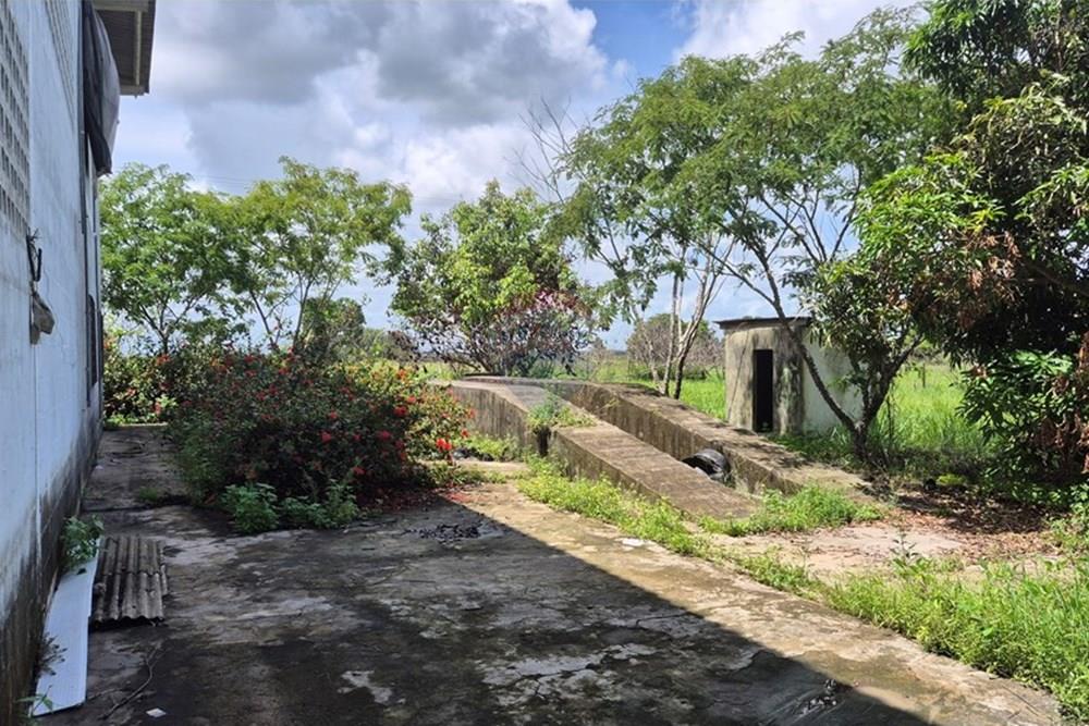 Galpão - Venda - Pedras de Fogo , Paraíba - 20250207_102200.jpg - 722011055-41