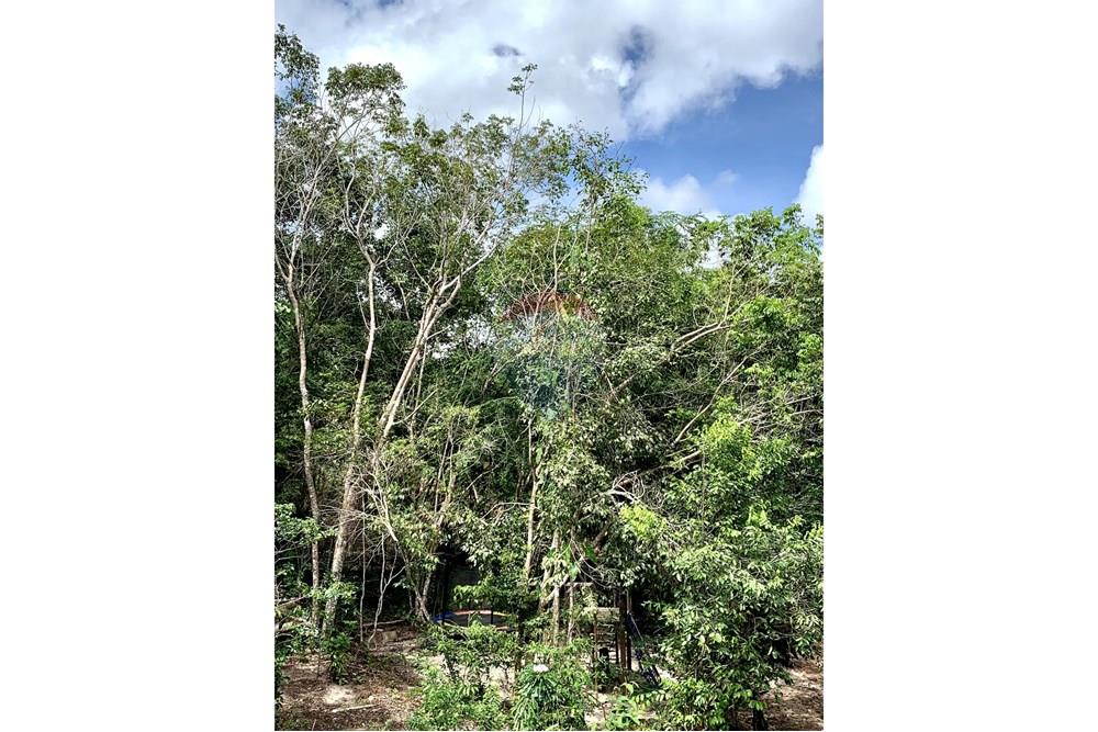 Casa de Campo - Venda - Santarém , Pará - IMG_3210.jpeg - 722151008-18