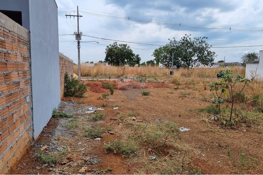 Terreno - Venda - Confresa , Mato Grosso - WhatsApp Image 2025-09-24 at 17.38.36.jpeg - 720641046-8