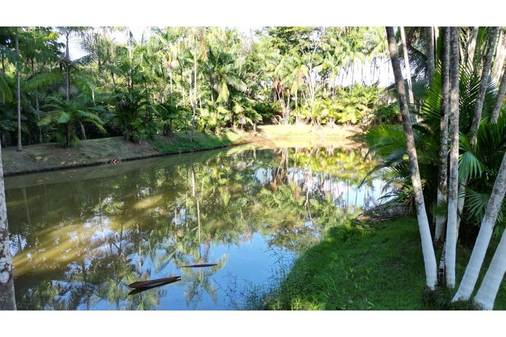 Chácara / Sítio / Fazenda - Venda - Nova Brasilândia D'Oeste , Rondônia - WhatsApp Image 2025-10-07 at 17.32.39 (2).jpeg - 722311004-22