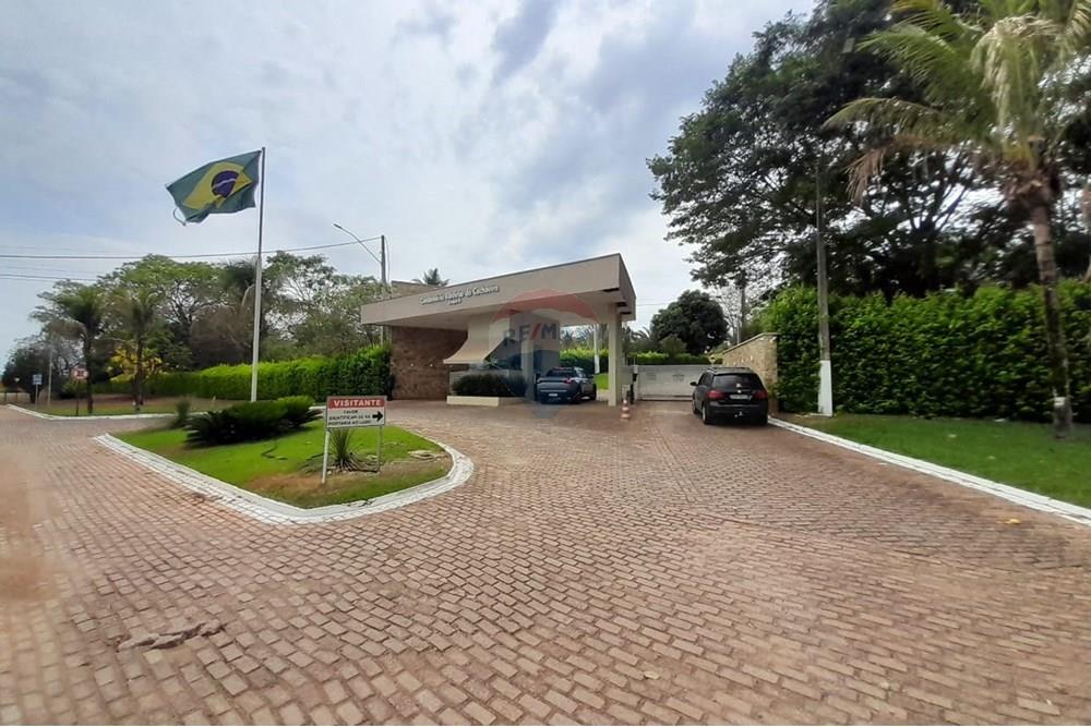 Chácara / Sítio / Fazenda - Venda - Nova Veneza , Goiás - WhatsApp Image 2025-10-08 at 10.28.03.jpeg - 722271015-32