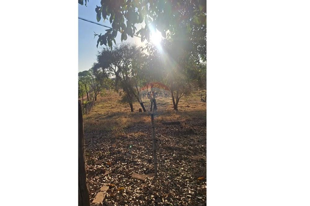 Casa - Venda - Rondonópolis , Mato Grosso - IMG-20250916-WA0122.jpg - 721981068-10