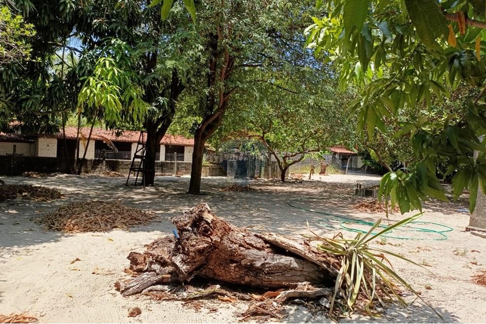 Chácara / Sítio / Fazenda - Venda - Pindoretama , Ceará - WhatsApp Image 2025-10-14 at 15.21.53.jpeg - 720321135-35