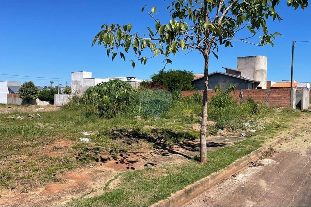 Terreno - Venda - Cacoal , Rondônia - 346.jpg - 722311007-45