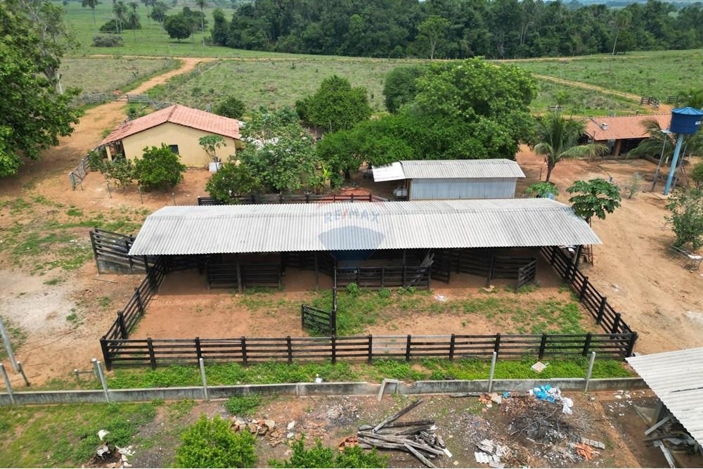 Fazenda - Venda - Nova Olinda , Tocantins - WhatsApp Image 2024-11-29 at 16.16.47 (1).jpeg - 720991010-57