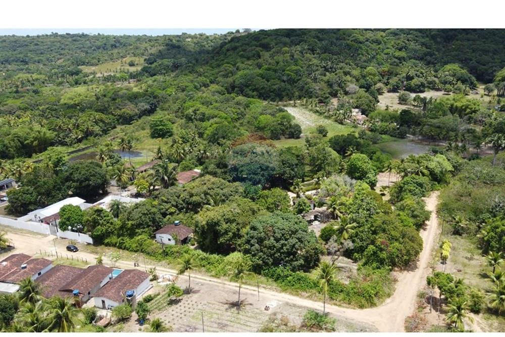 Chácara / Sítio / Fazenda - Venda - Conde , Paraíba - DJI_0263.JPG - 720871004-216