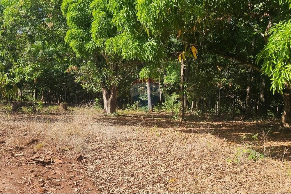 Chácara / Sítio / Fazenda - Venda - Araguaína , Tocantins - WhatsApp Image 2025-08-06 at 14.32.27 (1).jpeg - 722171039-19