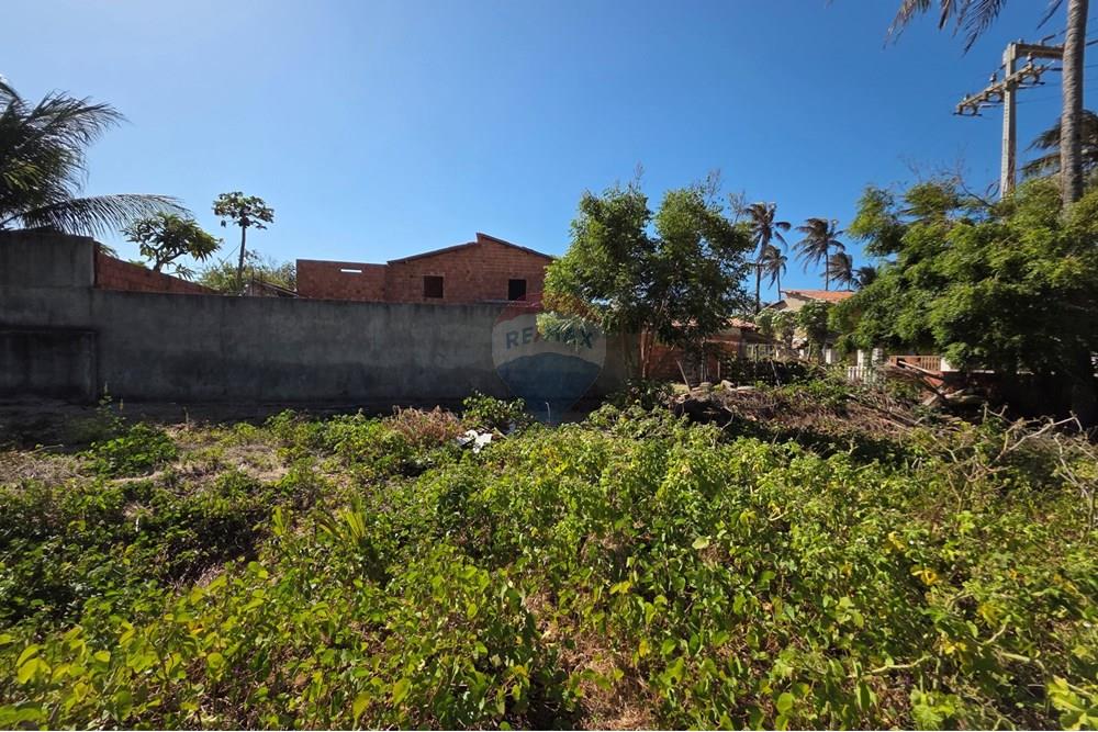 Terreno - Venda - Trairi , Ceará - 1000193095.jpg - 722341001-100