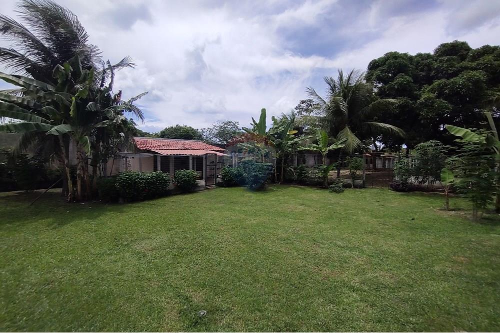 Chácara / Sítio / Fazenda - Venda - Parnamirim , Rio Grande do Norte - IMG_20250404_104605842.jpg - 720731014-48