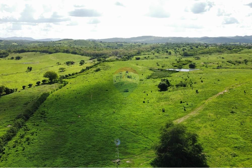 Chácara / Sítio / Fazenda - Venda - Riachão do Bacamarte , Paraíba - dji_fly_20250215_151052_494_1739643164936_photo_optimized.jpg - 722011055-39