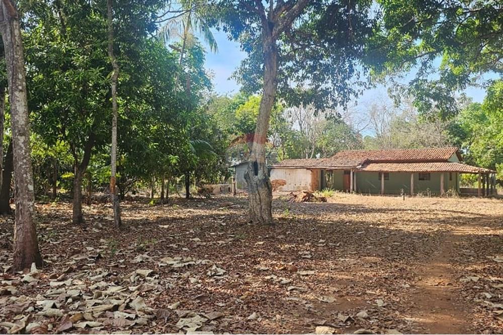 Chácara / Sítio / Fazenda - Venda - Araguaína , Tocantins - WhatsApp Image 2025-08-06 at 14.32.30.jpeg - 722171039-19