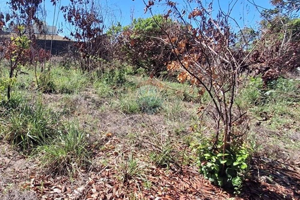 Terreno - Venda - Conde , Paraíba - b50645a0-9a0a-4c06-8675-42628ea2e7e7.jpeg - 720871044-68