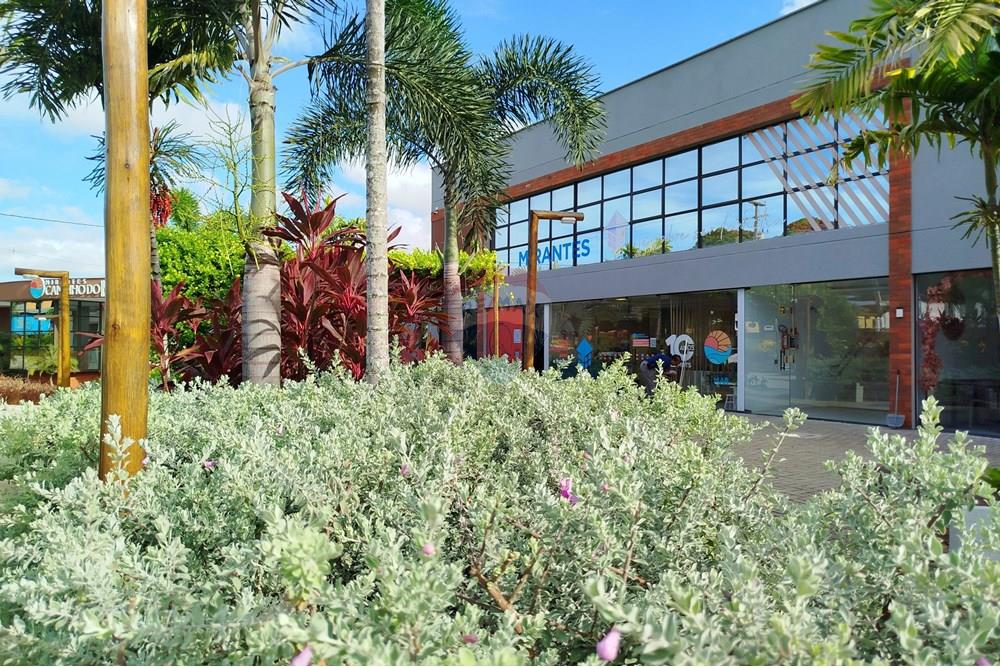 Apartamento - Alugar - Parnamirim , Rio Grande do Norte - 1745608311873.jpg - 720891013-109