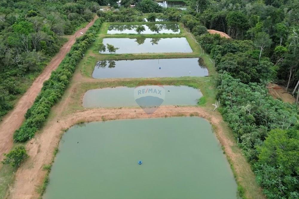 Chácara / Sítio / Fazenda - Venda - Novo Airão , Amazonas - Tanques de Peixes9.jpg - 720721055-29