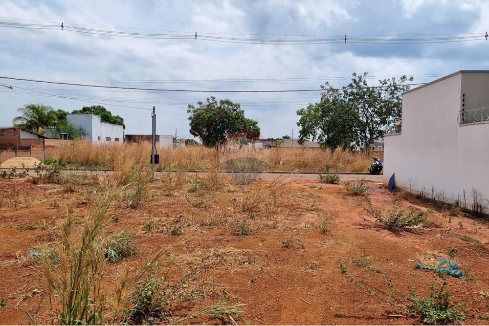 Terreno - Venda - Confresa , Mato Grosso - WhatsApp Image 2025-09-24 at 17.16.18.jpeg - 720641046-9