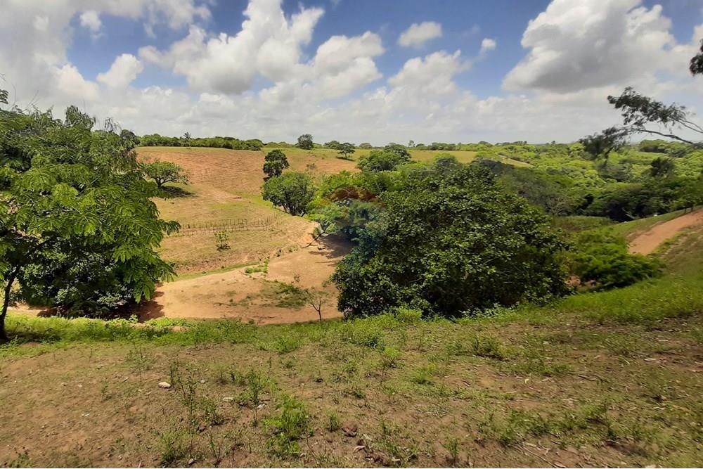 Chácara / Sítio / Fazenda - Venda - Conde , Paraíba - 20211021_105146.jpg - 722011055-33