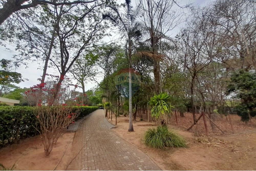 Chácara / Sítio / Fazenda - Venda - Nova Veneza , Goiás - WhatsApp Image 2025-10-08 at 10.28.25 (1).jpeg - 722271015-32