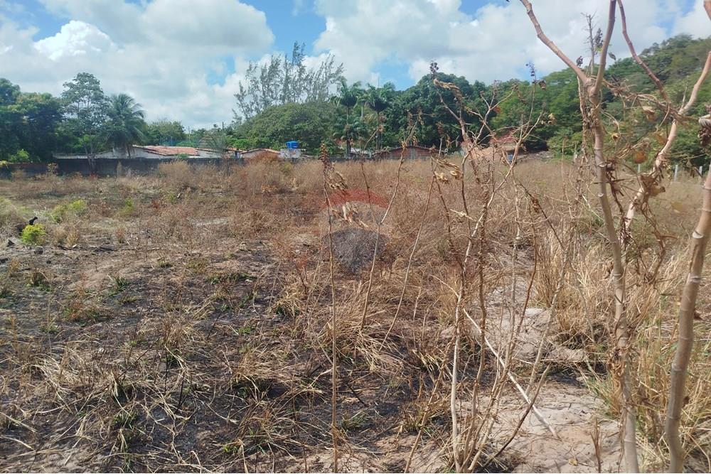 Terreno - Venda - Nísia Floresta , Rio Grande do Norte - WhatsApp Image 2024-11-22 at 21.32.37.jpeg - 720891013-74