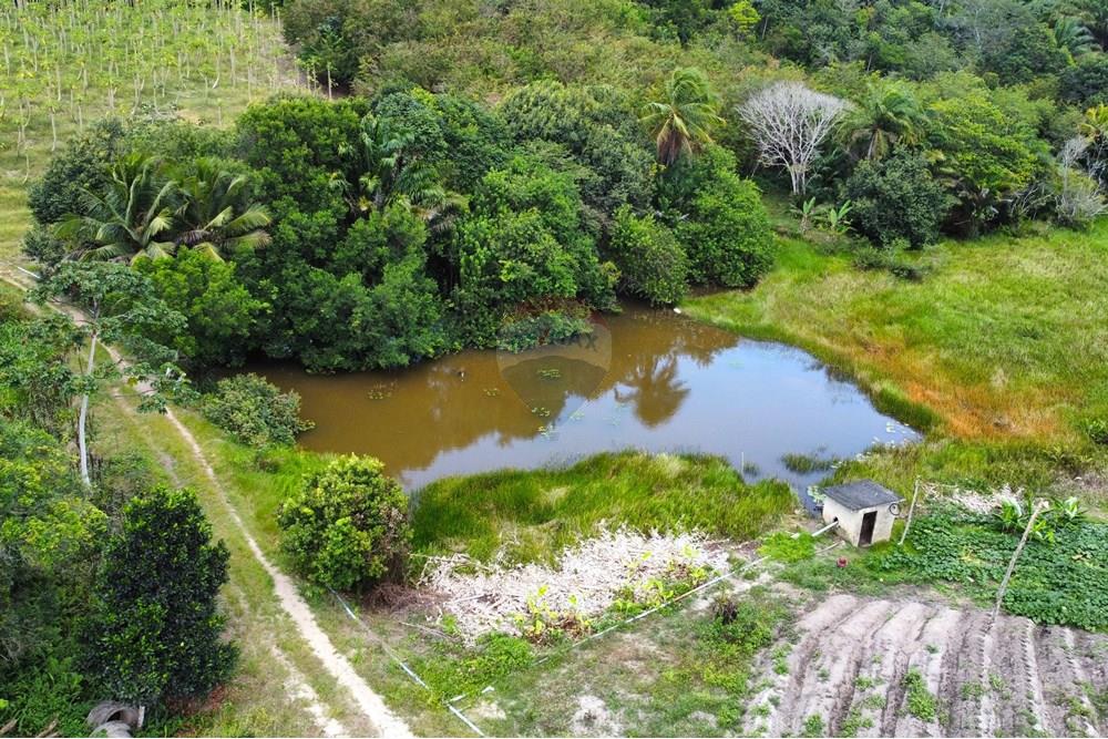 Chácara / Sítio / Fazenda - Venda - Conde , Paraíba - dji_fly_20240921_105614_229_1727098153946_photo_optimized.jpg - 722011055-34