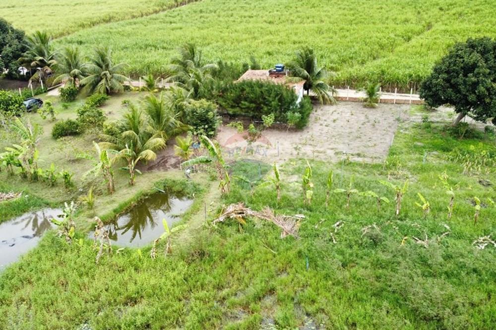 Chácara / Sítio / Fazenda - Venda - Alhandra , Paraíba - dji_fly_20250907_152032_887_1757269240432_photo_optimized.jpg - 722011055-48