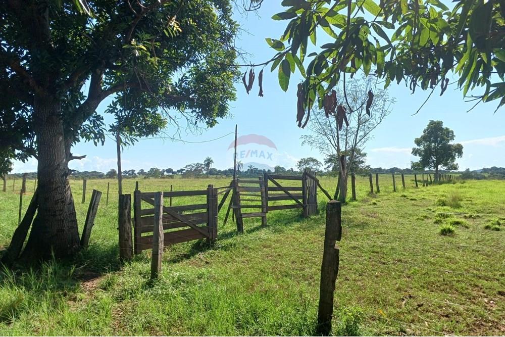 Chácara / Sítio / Fazenda - Venda - São José do Povo , Mato Grosso - WhatsApp Image 2025-04-03 at 17.01.47 (3).jpeg - 722261017-2