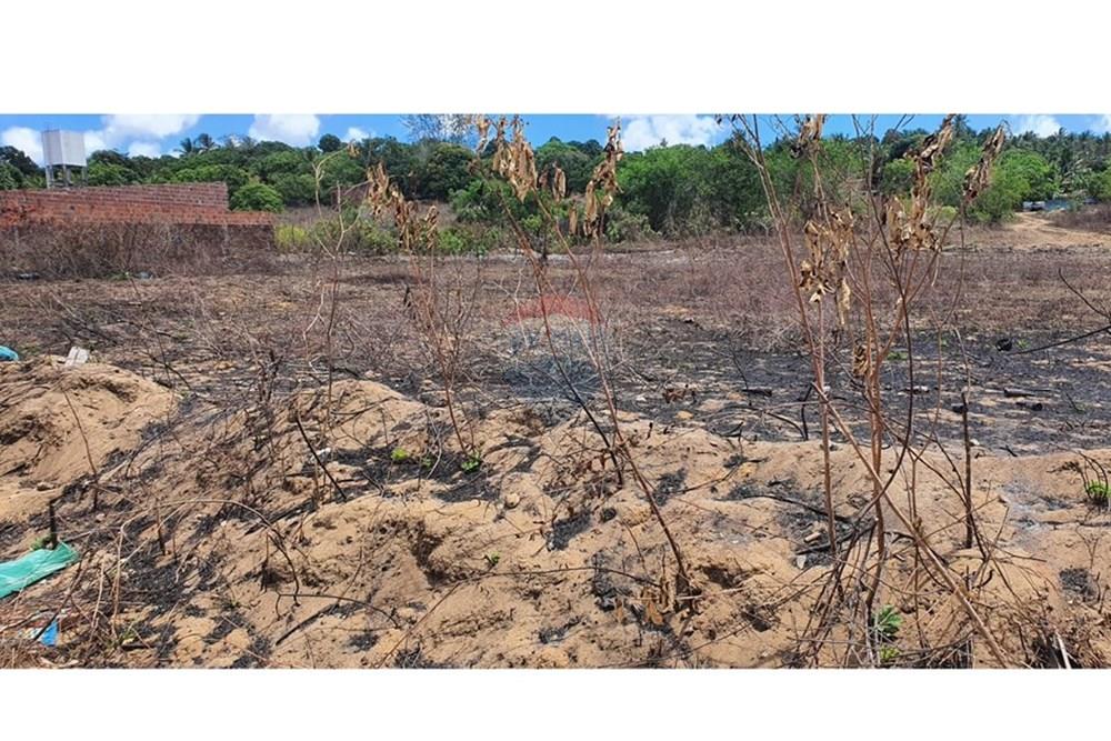Terreno - Venda - Conde , Paraíba - WhatsApp Image 2024-12-17 at 15.12.57 (2).jpeg - 720871031-68