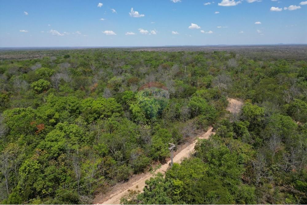 Agro - Venda - Carolina , Maranhão - WhatsApp Image 2025-08-28 at 17.45.09.jpeg - 720991042-3