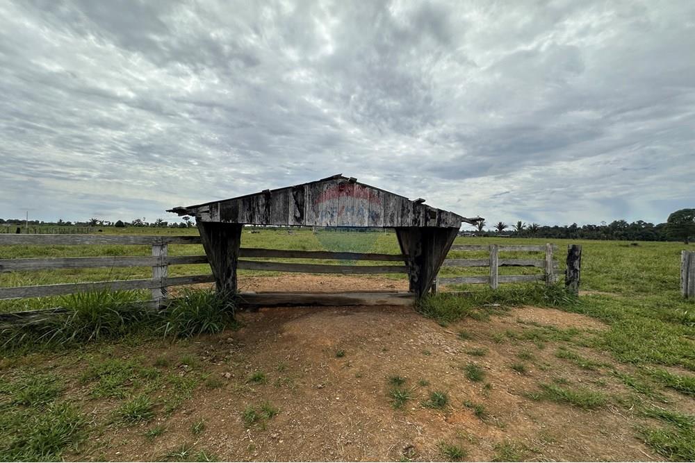 Fazenda - Venda - Itapuã do Oeste , Rondônia - IMG_0334.JPG - 721551004-289