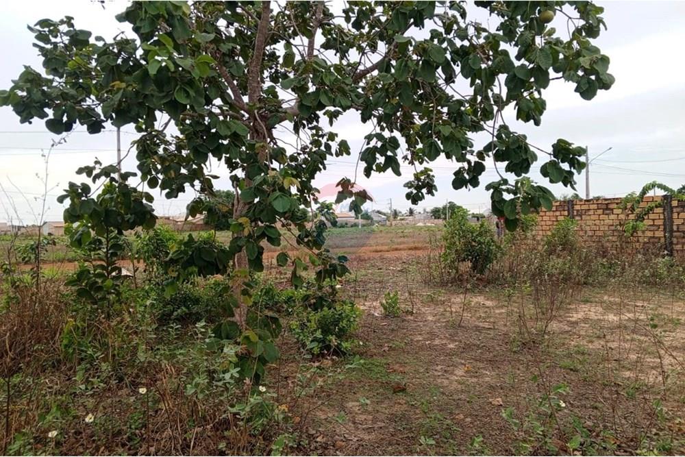 Terreno - Venda - Porto Alegre do Norte , Mato Grosso - 71ddf70c-2fbf-4d25-a371-7976d562977f.jpg - 720641031-27