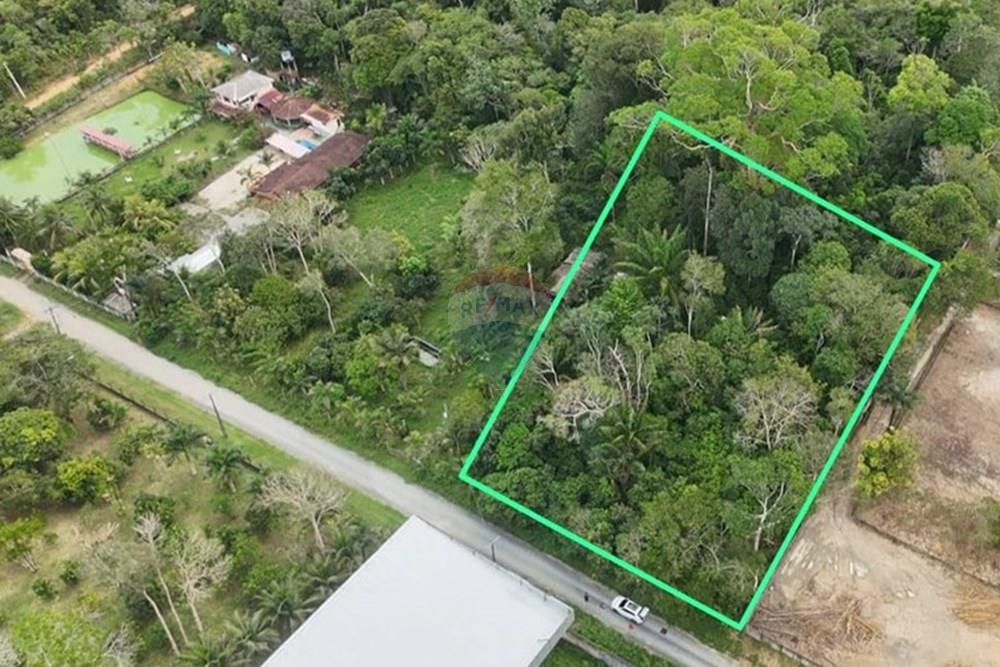 Terreno - Venda - Manaus , Amazonas - IMG-20250704-WA0070.jpg - 720401095-7