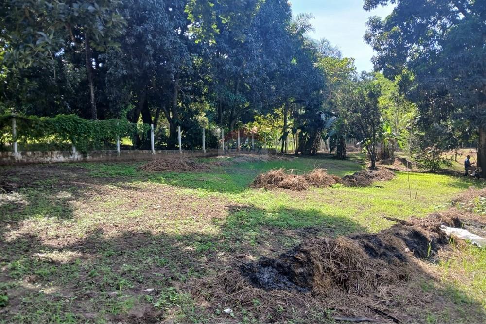 Chácara / Sítio / Fazenda - Venda - Rondonópolis , Mato Grosso - WhatsApp Image 2025-05-12 at 16.32.18 (16).jpeg - 720611007-91