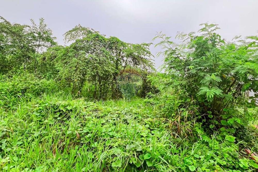 Terreno - Venda - Manaus , Amazonas - Captura de tela 2025-03-14 182713_pages-to-jpg-0013.jpg - 720661004-49