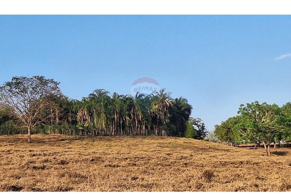 Casa - Venda - Rondonópolis , Mato Grosso - IMG-20250916-WA0125.jpg - 721981068-10