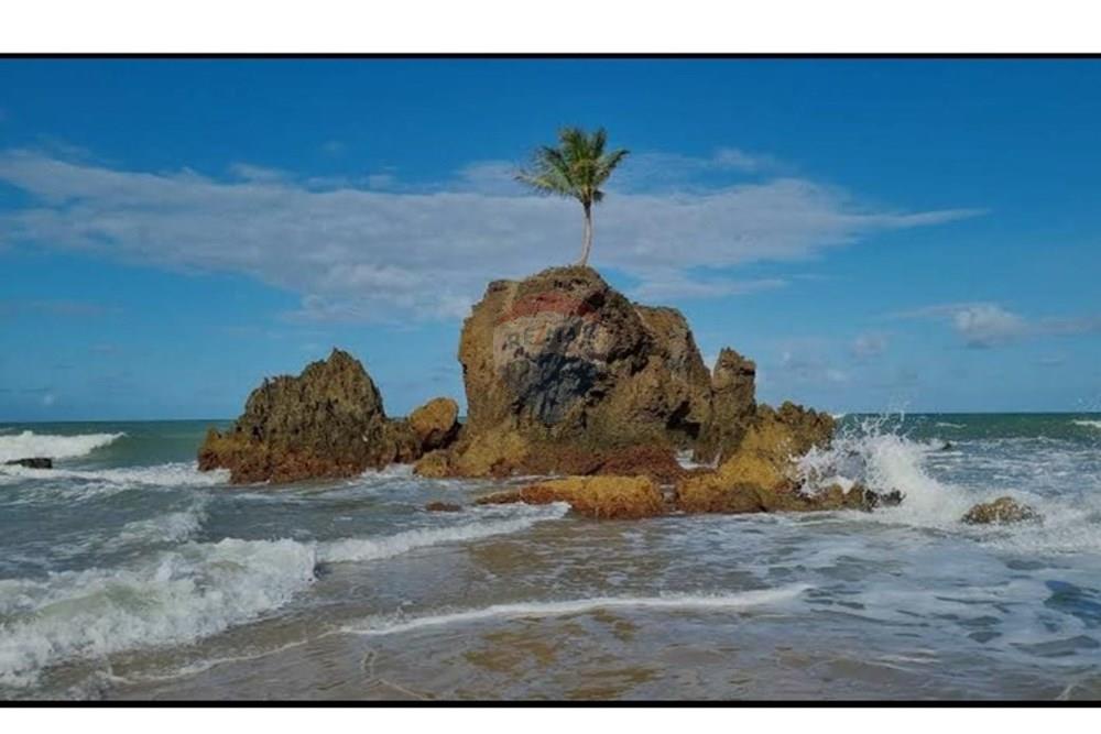 Terreno - Venda - Conde , Paraíba - WhatsApp Image 2024-12-05 at 22.13.44.jpeg - 720871031-83