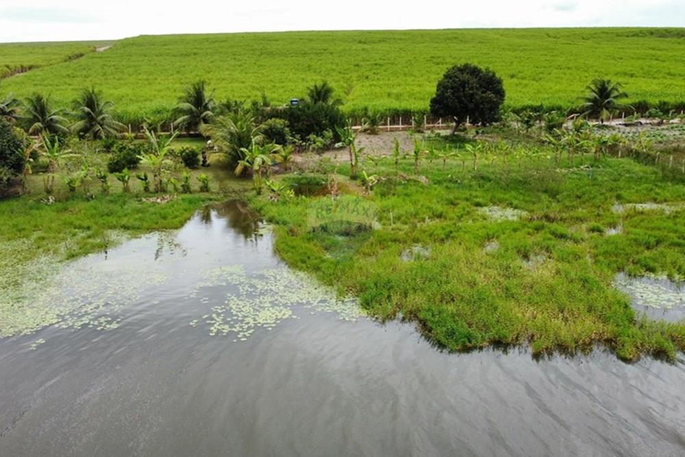 Chácara / Sítio / Fazenda - Venda - Alhandra , Paraíba - dji_fly_20250907_152404_895_1757269542239_photo_optimized.jpg - 722011055-48