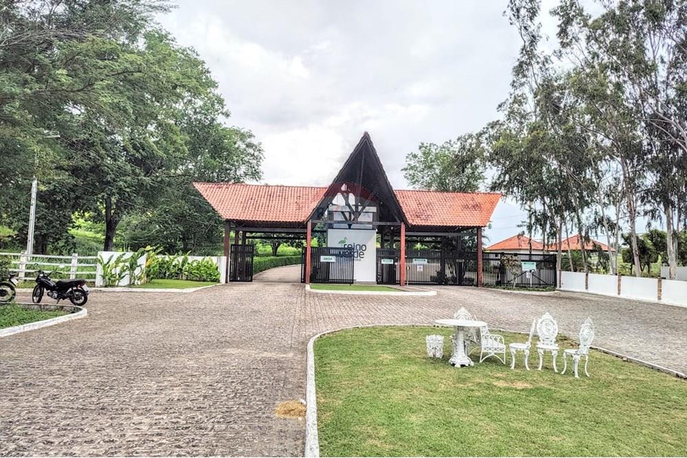 Terreno - Venda - Campina Grande , Paraíba - WhatsApp Image 2025-03-27 at 5.18.58 PM (1).jpeg - 720881010-181