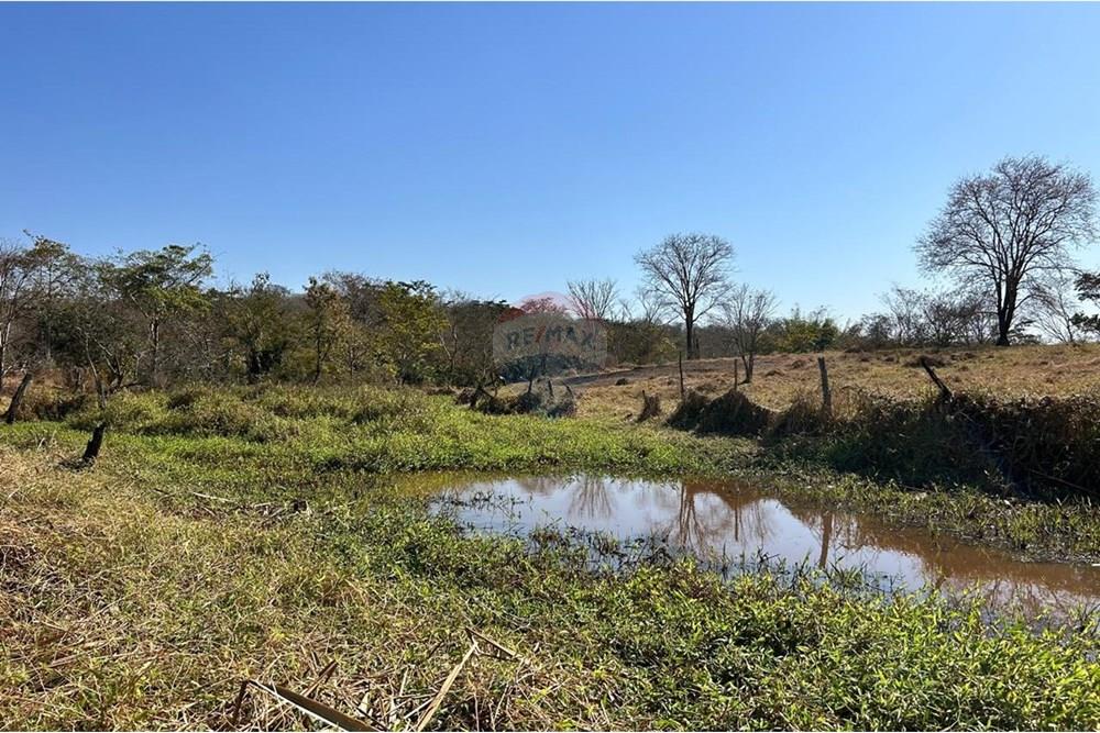 Fazenda - Venda - São José do Povo , Mato Grosso - WhatsApp Image 2025-08-20 at 09.44.09 (8).jpeg - 720561029-219