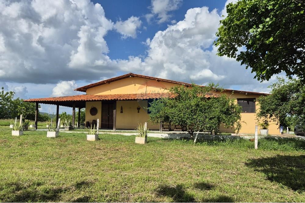 Chácara / Sítio / Fazenda - Venda - Riachão do Bacamarte , Paraíba - 20250215_145116.jpg - 722011055-39